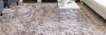 LIMPEZA DE TAPETES E CARPETES